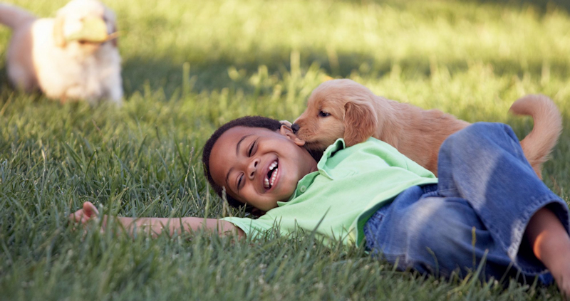 תהליך חשיפה נכונה