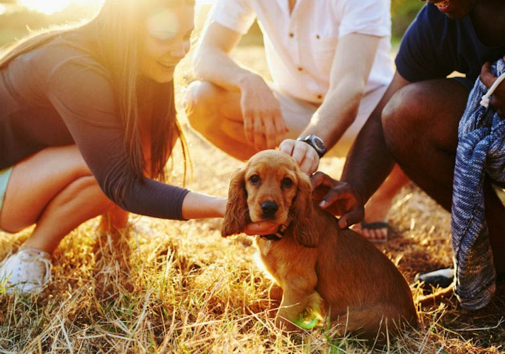 תהליך חשיפה נכונה