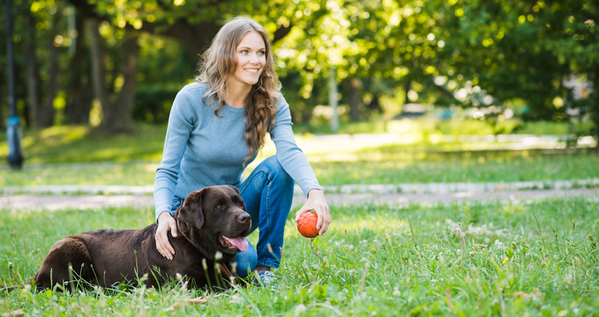 חיזוק הקשר עם כלבך