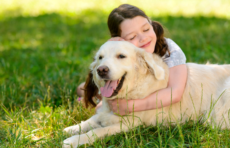 למה לגדל כלב