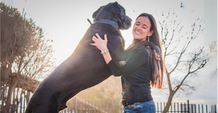 הכלב קופץ על האורחים