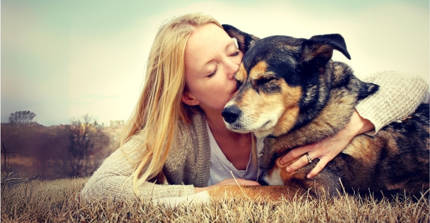 למה לאמץ כלב בוגר