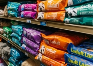 איך לבחור אוכל איכותי לכלב איך לבחור אוכל איכותי לכלב