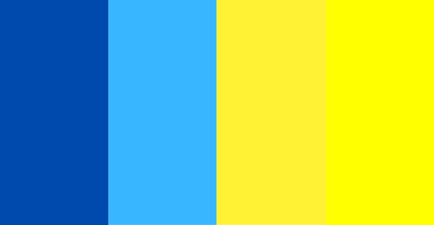 איזה צבעים כלבים רואים