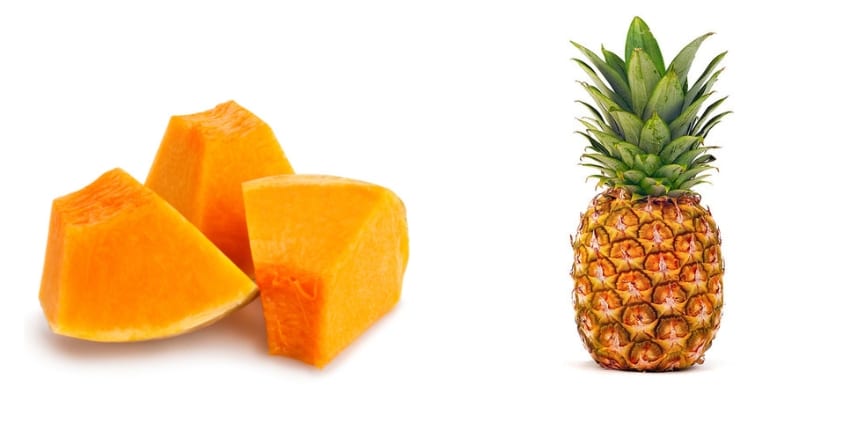 כלבים אוכלים צואה