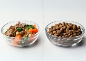 מזון טבעי (קפוא) או מזון יבש לכלבים – מה עדיף? מזון טבעי או מזון יבש