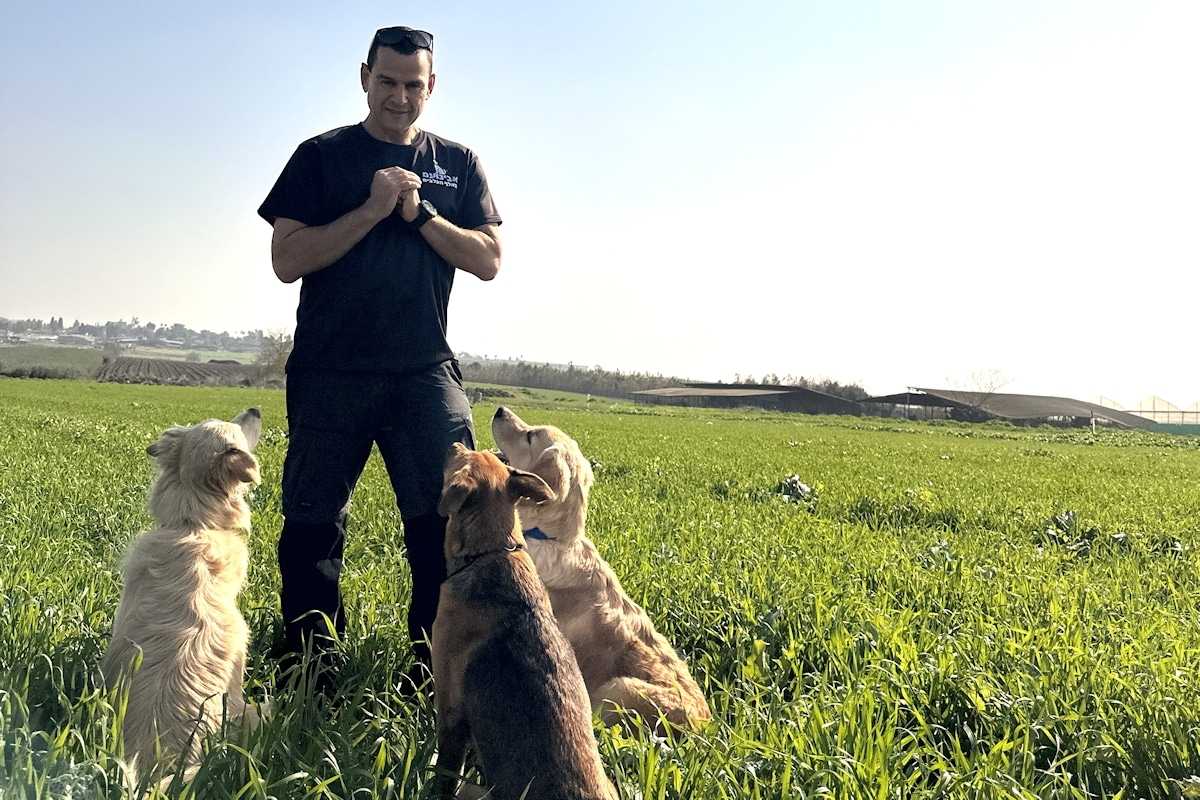 אבינועם - מאלף הכלבים • אילוף כלבים בצפון • רמת ישי • טבעון • עמק יזרעאל